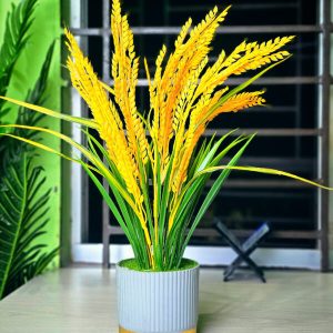 প্রিয় নেতাকে খুশি করার জন্য সেরা উপহার